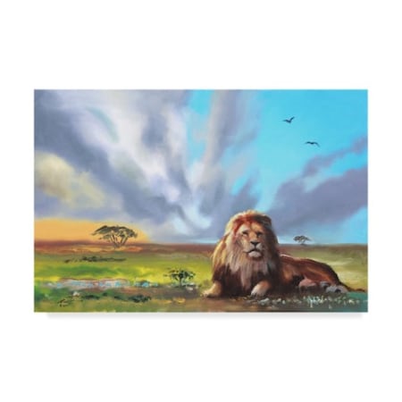 D Rusty Rust 'Lion Under Clouds' Canvas Art,12x19